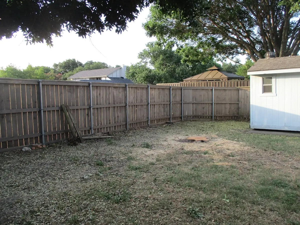 Cleared yard after professional tree removal in North Olmsted