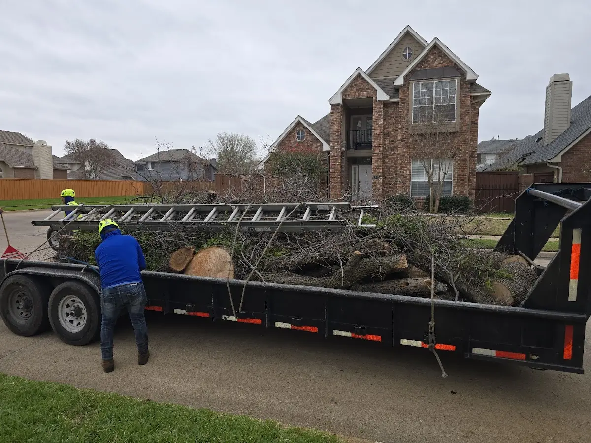 Expert Crown Reduction with proper safety equipment in North Olmsted